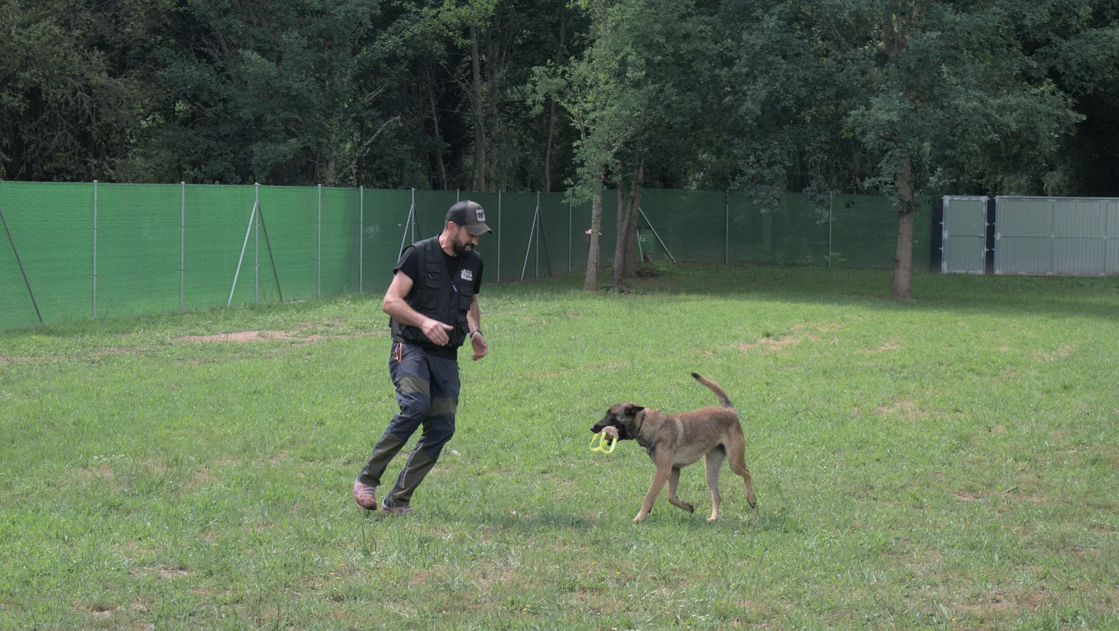 Perro feliz corriendo en A Fresca Ribeira